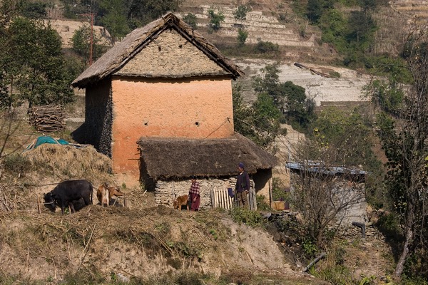 113-071223-131236_MG_0403 nagarkot 2