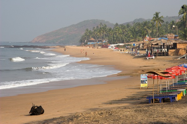 2005-12-23 09-17-38_MG_6402-01 goa