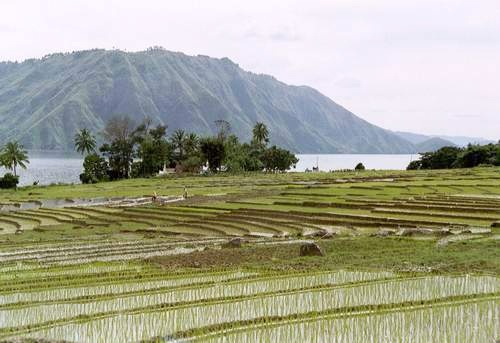 Pulau Somosir, Lake Toba, Sumatra, Indonesien